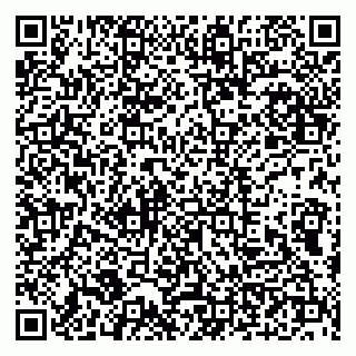 vCard 79100210313