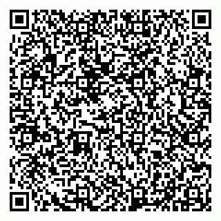 vCard 79100210317