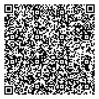 vCard 79100210319
