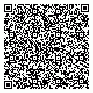 vCard 79100210329