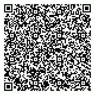 vCard 79100210331