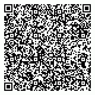 vCard 79100210333