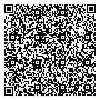vCard 79100210334
