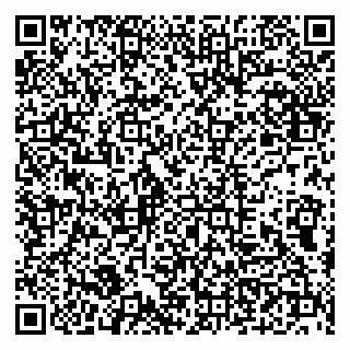 vCard 79100210335