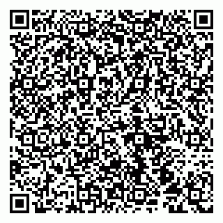 vCard 79100210337