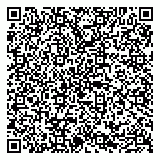 vCard 79100210341