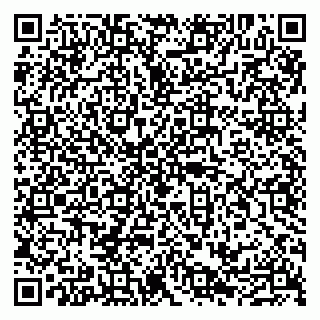 vCard 79100210353