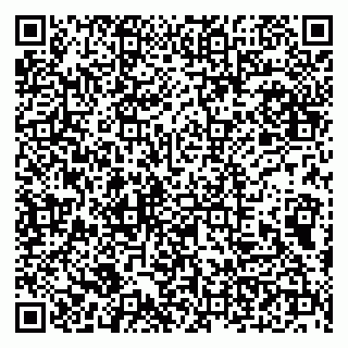 vCard 79100210363