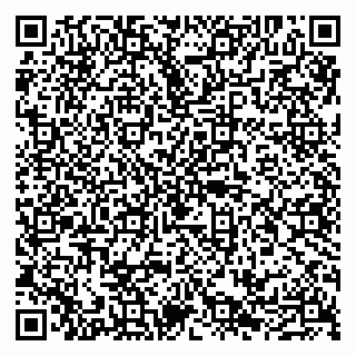 vCard 79100210368