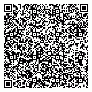 vCard 79100210370