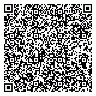 vCard 79100210371