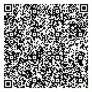vCard 79100210373