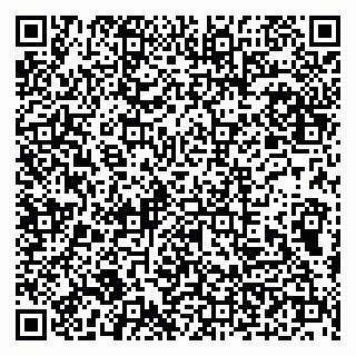 vCard 79100210374