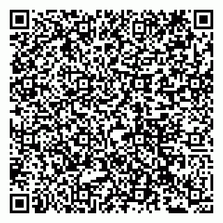 vCard 79100210375