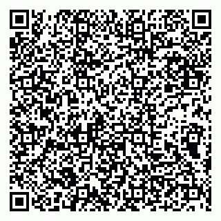 vCard 79100210377