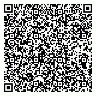 vCard 79100210378