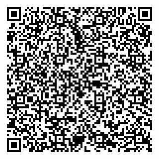 vCard 79100210380