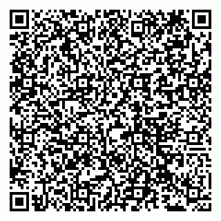 vCard 79100210381