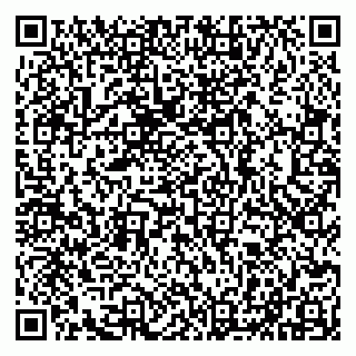 vCard 79100210385