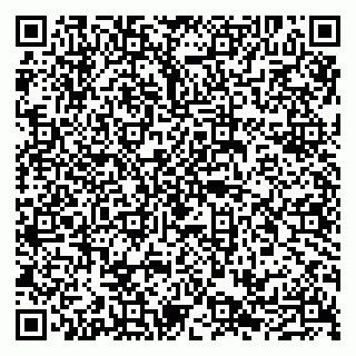 vCard 79100210387