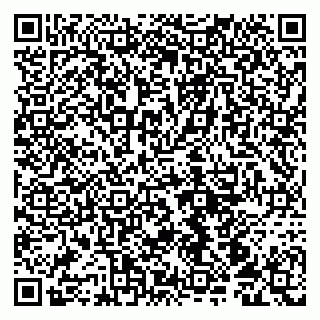 vCard 79100210389