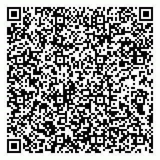 vCard 79100210393