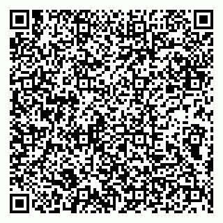 vCard 79100210395