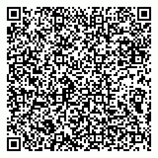 vCard 79100210396