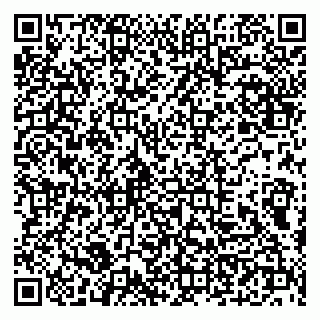vCard 79100210398