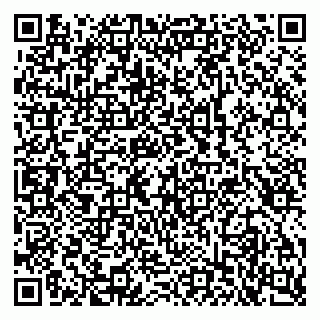 vCard 79100240139