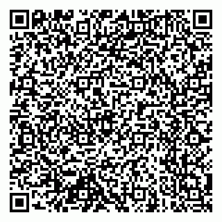 vCard 79100240173