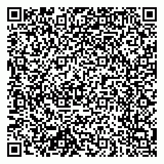vCard 79100240807