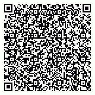 vCard 79100240835
