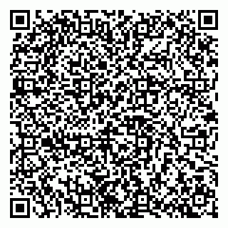 vCard 79100240899