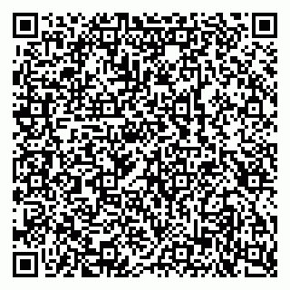 vCard 79100240959