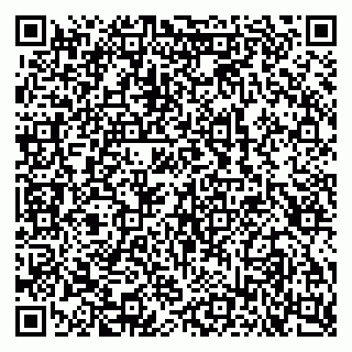 vCard 79100240971