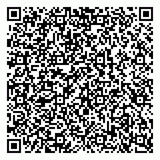 vCard 79100240993