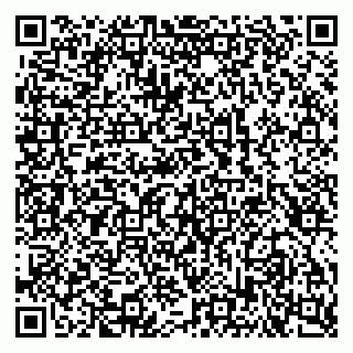 vCard 79100240994