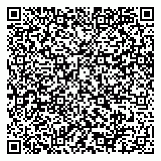 vCard 79100240995
