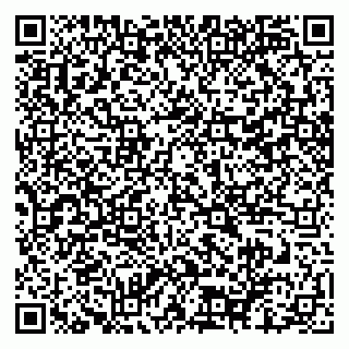 vCard 79100240996