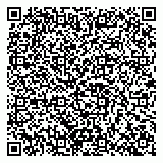 vCard 79100240997