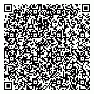 vCard 79100240998
