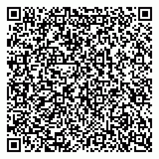 vCard 79100241102