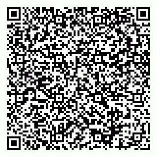 vCard 79100241237