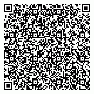 vCard 79100241545