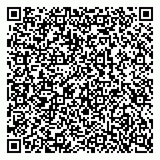 vCard 79100243730