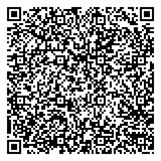 vCard 79100300201