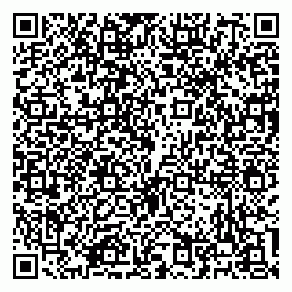 vCard 79100310039