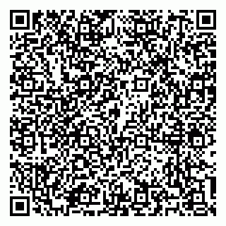 vCard 79100310173