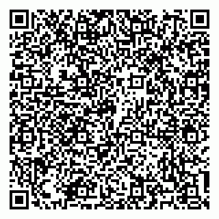 vCard 79100310279